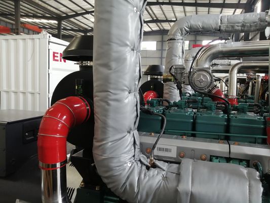 Steyr Engine CBM CNG Gas Generator 1800RPM LNG Generator
