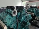 260KW Biogas Engine Generator Deutz V6 Natural Gas Electric Generator
