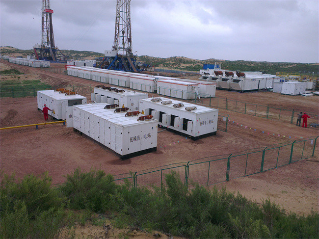 Steyr T12 Oilfield Gas Generators 250KW Natural Gas Generator